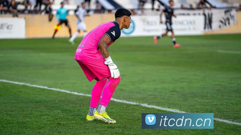 爱游戏ayx登陆平台生态图